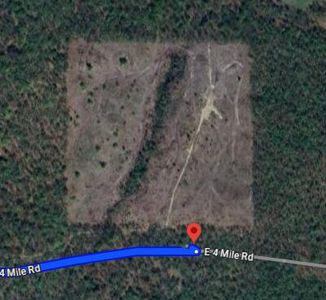 0 E Four Mile Rd, White Cloud, MI, 49349