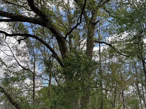 0 SW 193rd Cir #21, Dunnellon, FL 34432