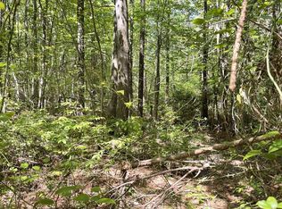 Four Guinea Hollow Rd, Millsboro, DE 19966