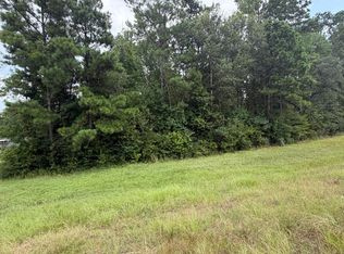 Highway 171, Longville, LA 70652