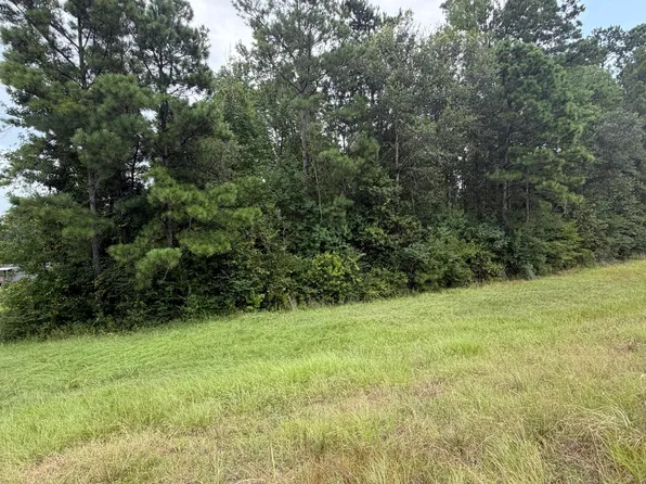 Highway 171, Longville, LA 70652