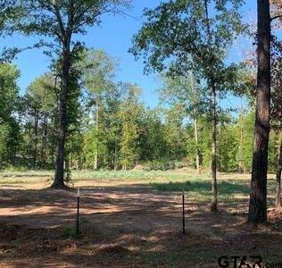 3 Waldrons Ferry Rd, Hallsville, TX, 75650