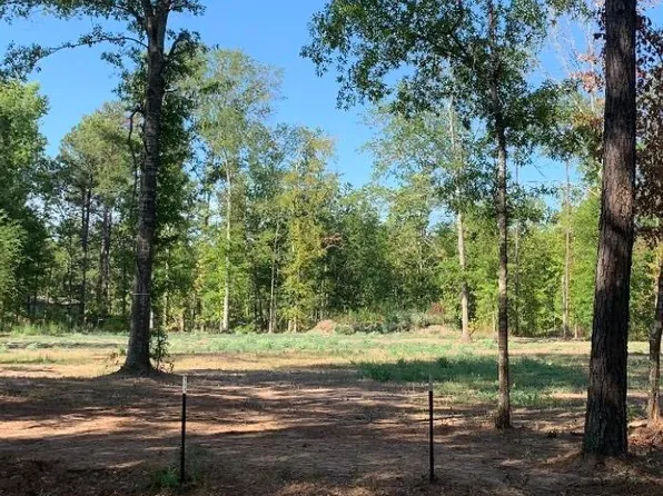 3 Waldrons Ferry Rd, Hallsville, TX 75650