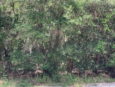 Cottage Hill St, Lake wales, FL, 33859