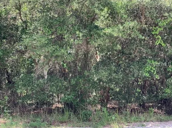 Cottage Hill St, Lake Wales, FL 33859