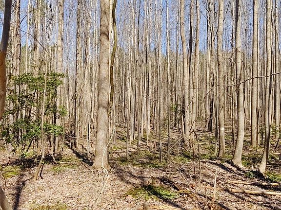3rd image of 3720 Mitchell Rd