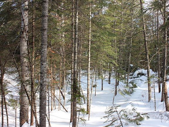 2nd image of 3055 Carrabassett Dr