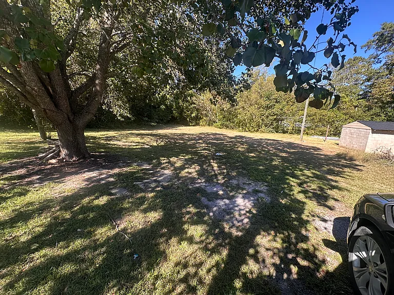 Back yard