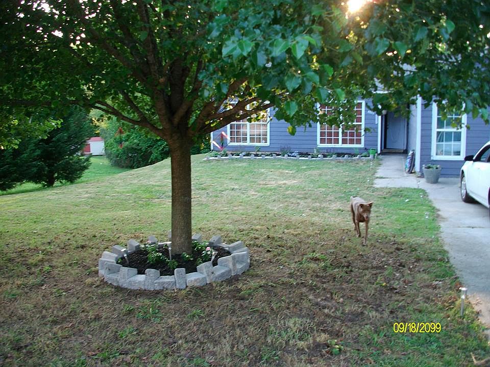 front yard