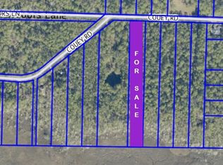 0 Couey Rd, Milton, FL 32583