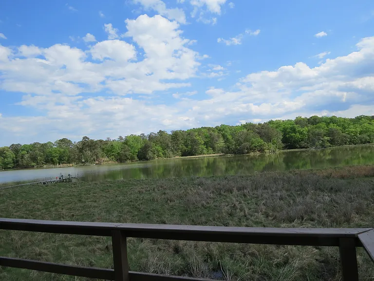 245 Swan View Dr — Photo 14