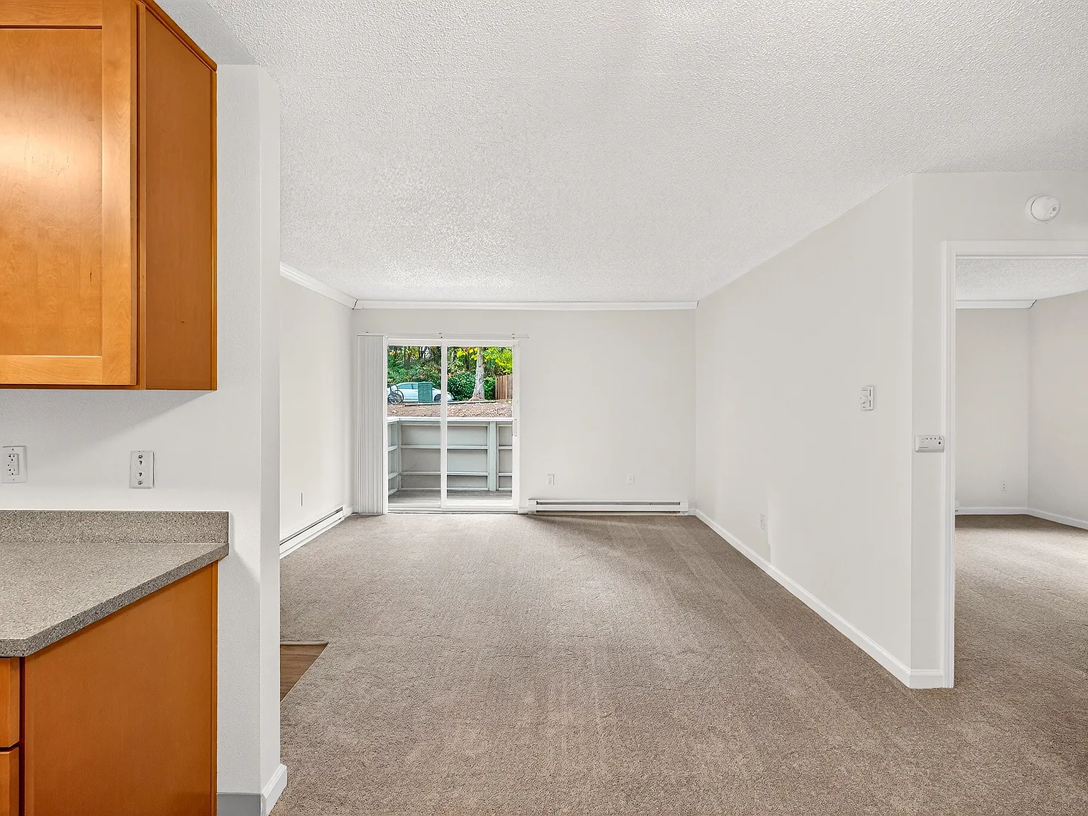 Timberwood — Photo 3