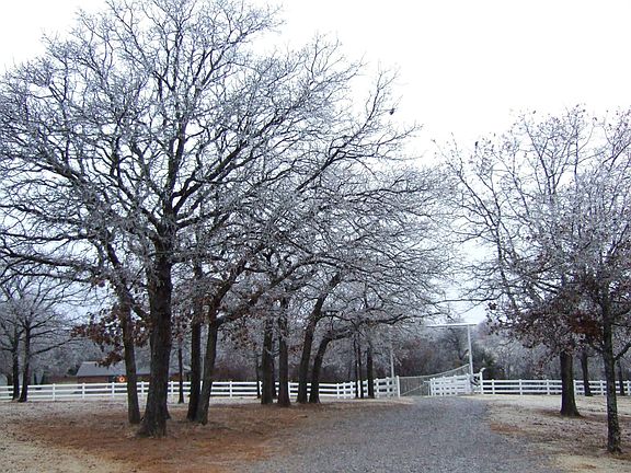 Driveway looking out
