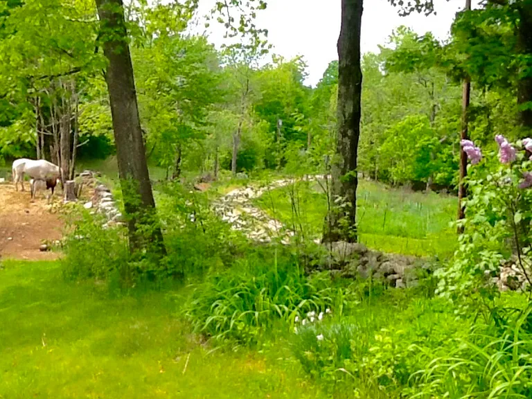 314 Pratt Rd — Photo 5