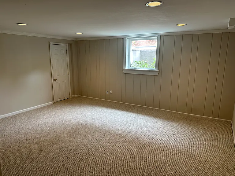 Basement/Flexible Bedroom