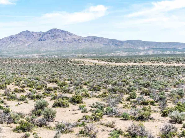 87 Wild Poppy Ct, Smith Valley, NV 89430
