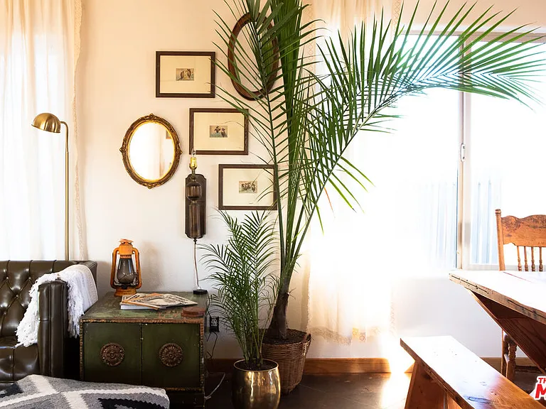 6767 California Ave — Photo 4