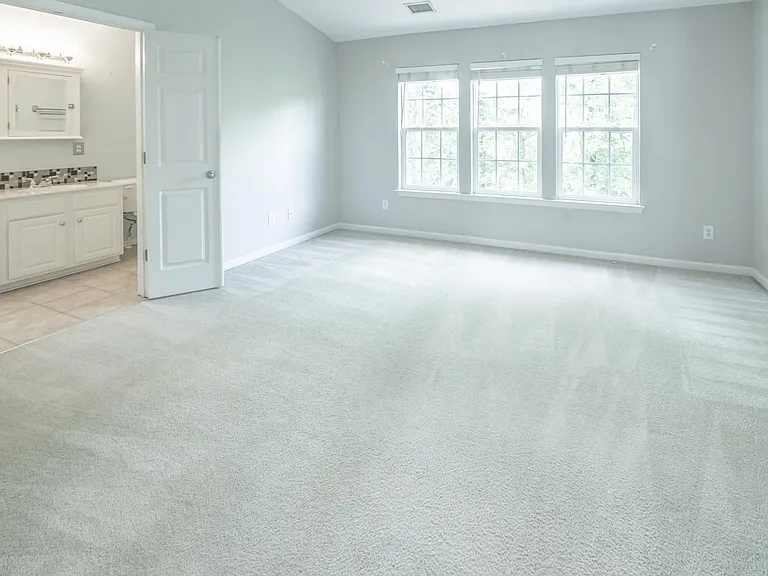 Fully carpeted Master Bedroom with elevated ceilings.