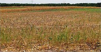4th image of Cr4305