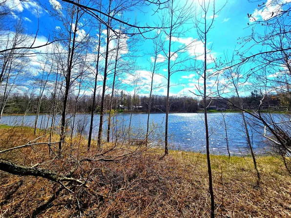 252 Sunridge Dr, Elmira, MI 49730