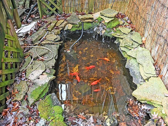 4th image of 9271 Jerry Wright Rd