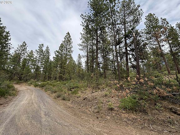 3rd image of Kildeer Dr
