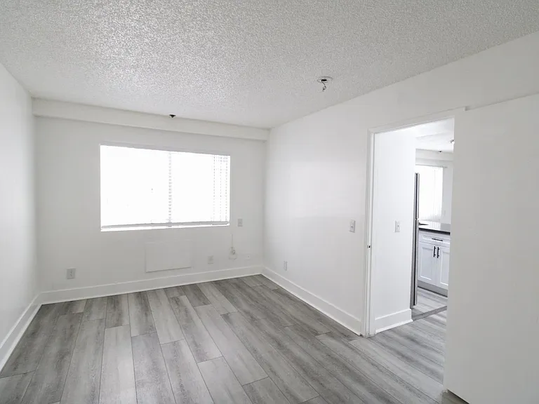 Electro Apartments - WSP 833 Berendo LLC — Photo 13