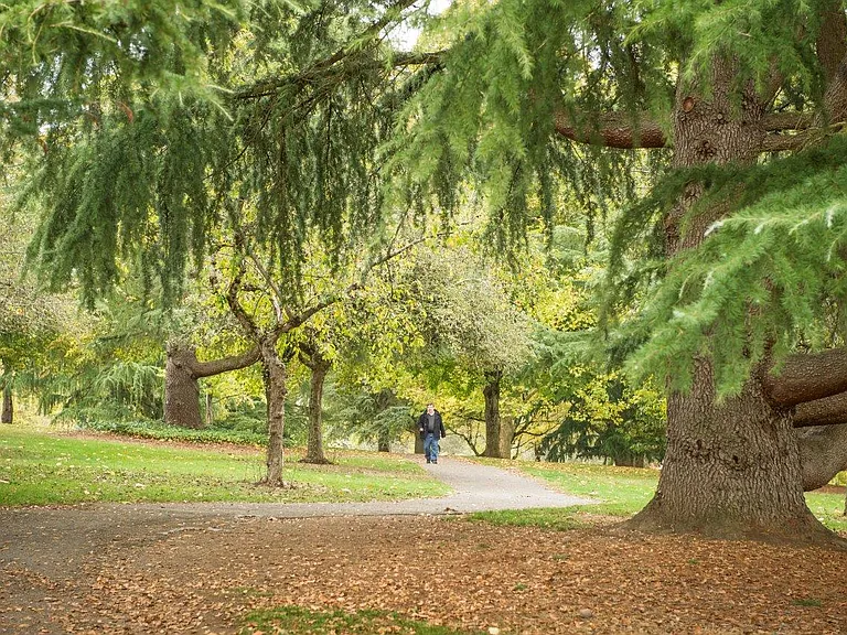 Multnomah Village Portland, Oregon Park
