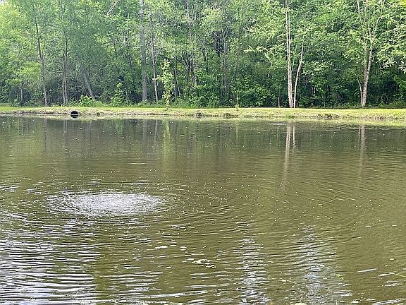 3rd image of 8396 Timber Creek Dr