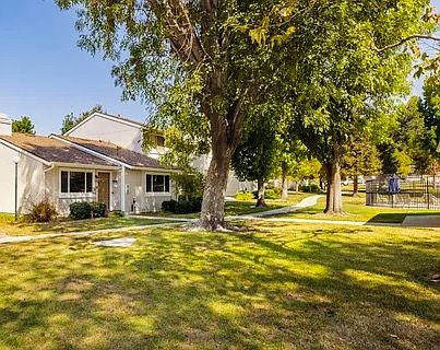 This is the front yard