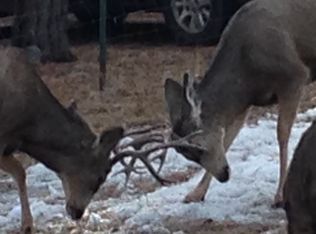 5518 County Road 72, Bailey, CO 80421