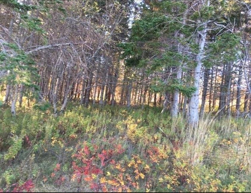 1st image of LOT Kempt Head Rd