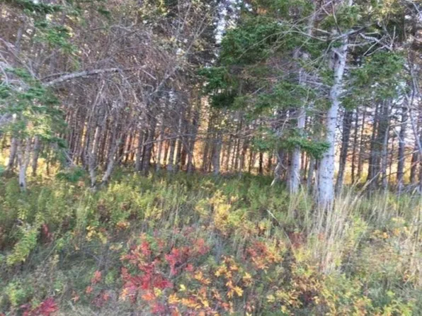 LOT Kempt Head Rd, Victoria, NS B1Y 2P8