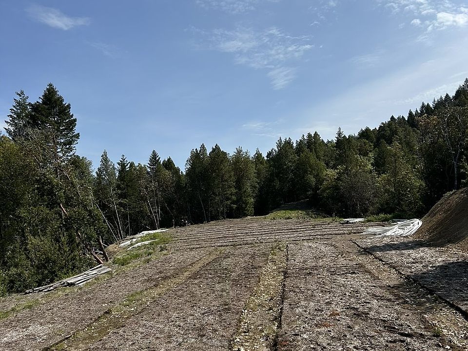 2nd image of O Redwood Hwy
