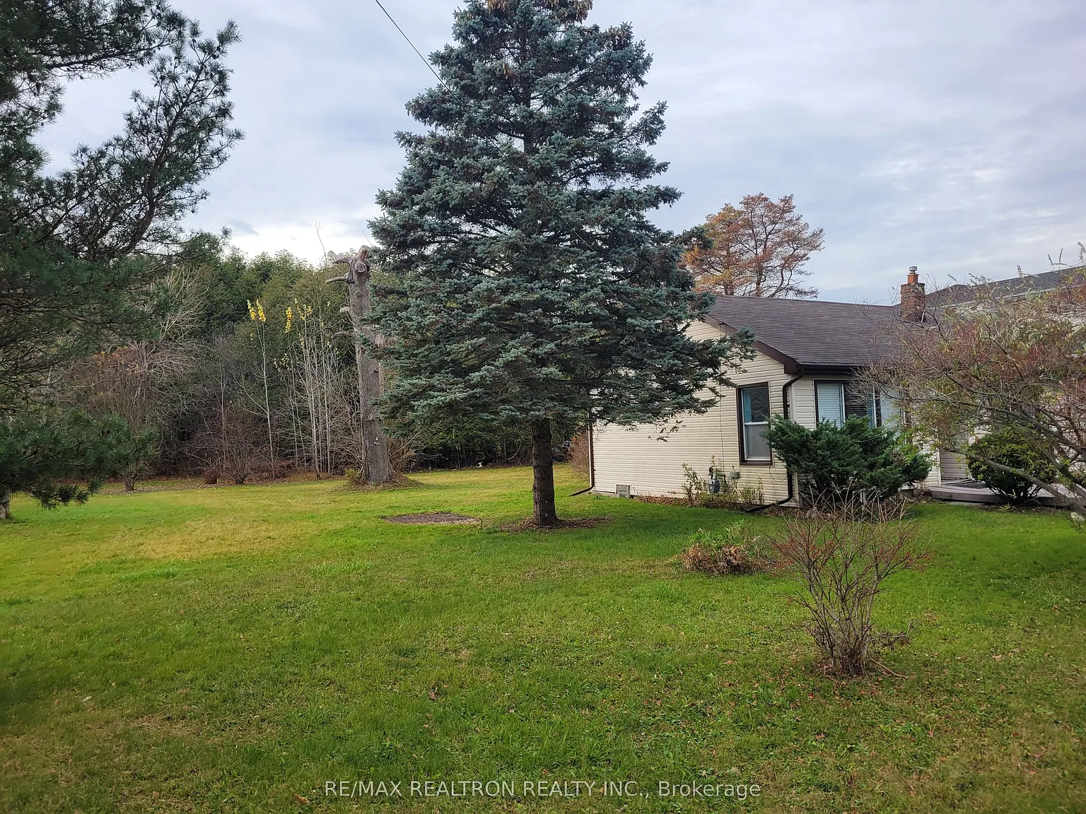 1 bed, $1,500 — Photo 3