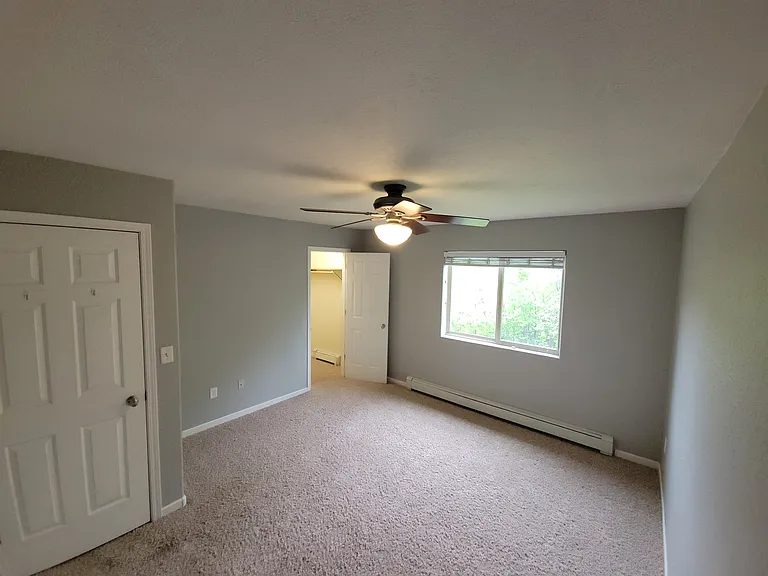 Master Bedroom with Walk in Closet