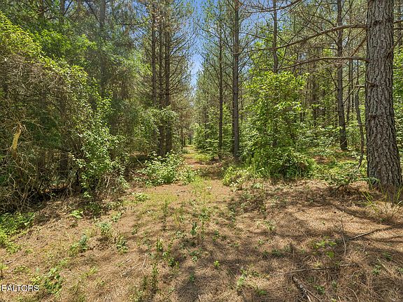2nd image of Nydeck Trl Tract 3