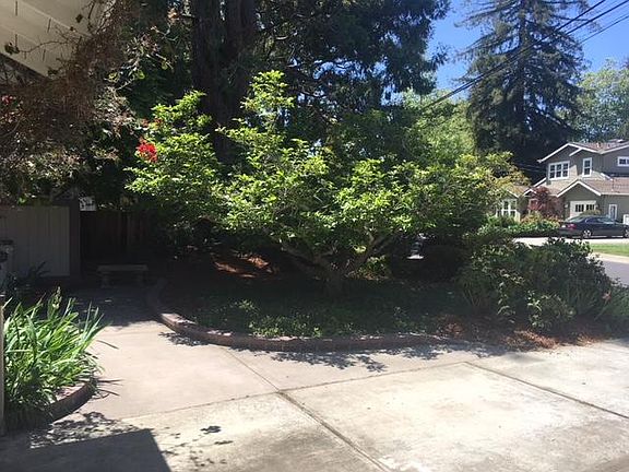 Nice front garden