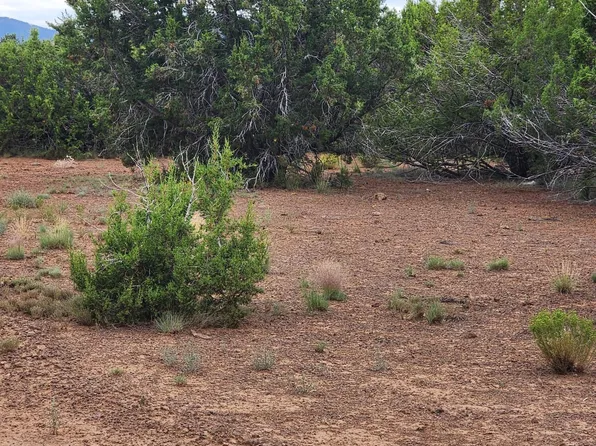 4 County Road 3551, Vernon, AZ 85940