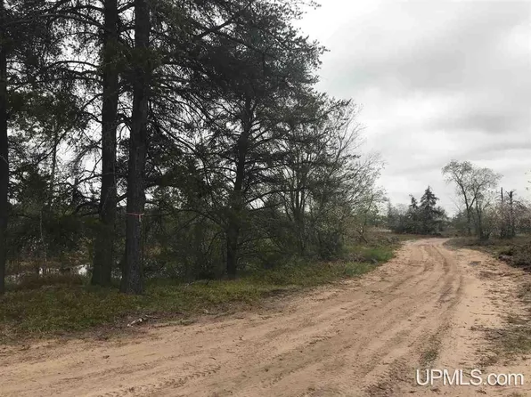 PARCEL 7 W Johnson Lake Rd, Gwinn, MI 49841