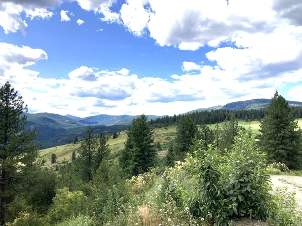 T Buffy Ln, Inchelium, WA 99138