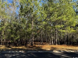 309 Cypress Flat Ct LOT 3, Conway, SC 29526