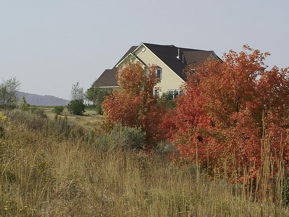 House in the fall