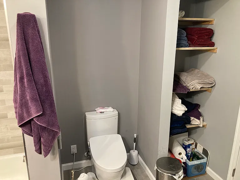 master bathroom facing toilet/towel closet