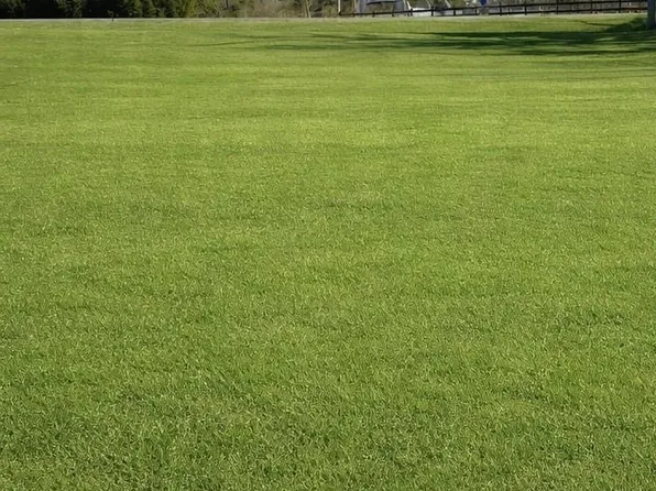 8 County Road 1002, Clanton, AL 35045