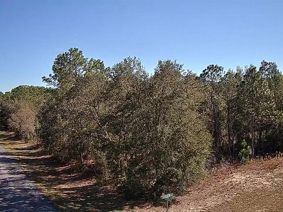 5th image of 1568 W THUMPER DRIVE