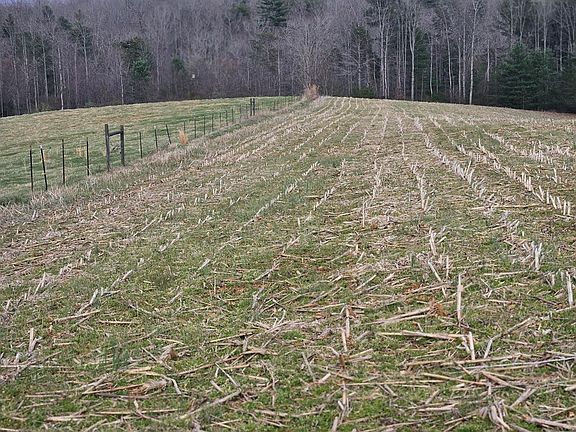 5th image of 0 Willis Gap Rd