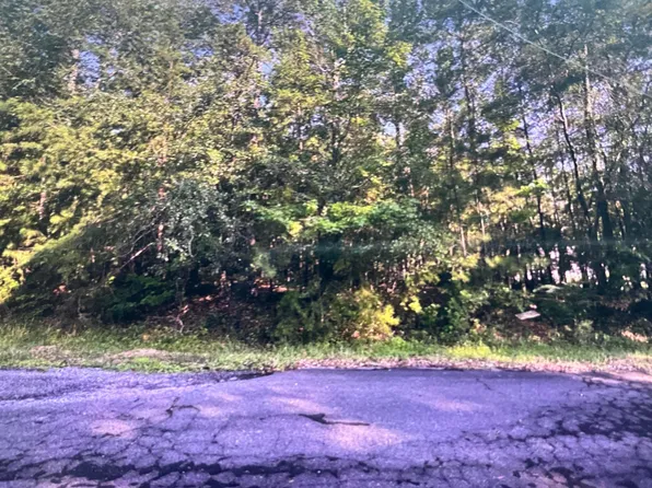 Woodland Dr, Jasper, AL 35504