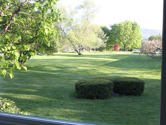 View from Living Room