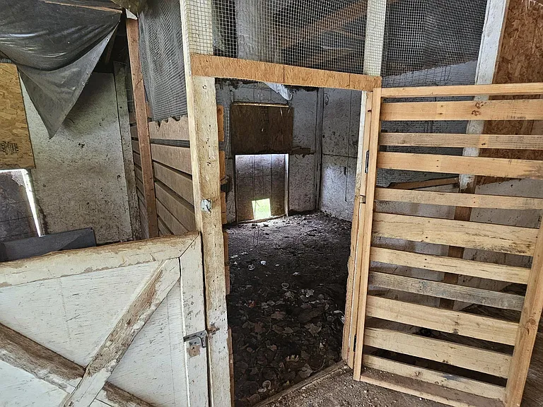 Barn and horse stalls